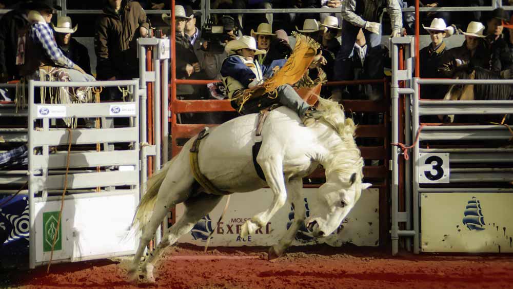 9th Annual Fall Rodeo Desoto County Historical Society